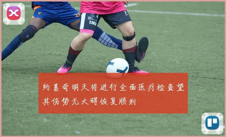 约基奇明天将进行全面医疗检查望其伤势无大碍恢复顺利