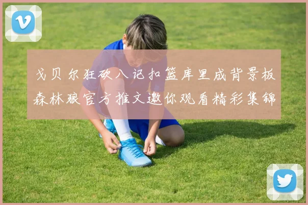 戈贝尔狂砍八记扣篮库里成背景板森林狼官方推文邀你观看精彩集锦